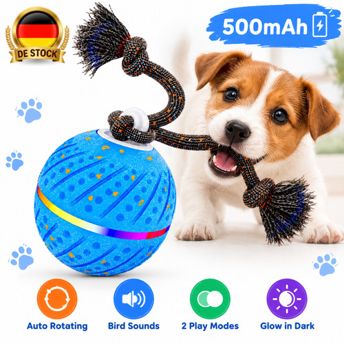 Interaktiver hundespielzeug - interaktiver,