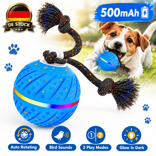 Interaktives hundespielzeug - interaktives,