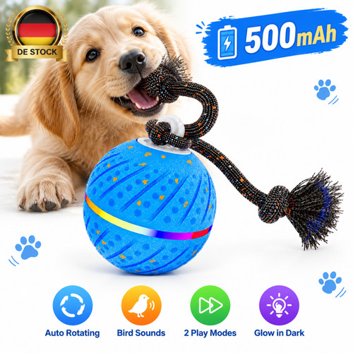Interaktiver hundespielzeug - interaktiver,